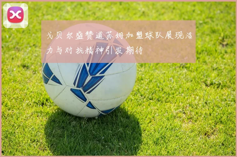戈贝尔盛赞道苏姆加盟球队展现活力与对抗精神引发期待