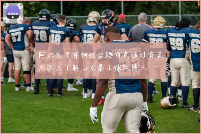 阿尔瓦罗可担任后腰角色通过费莱尼深入了解山东泰山球队情况
